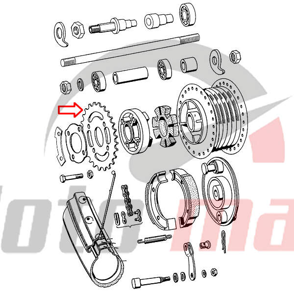 Sprocket tomos apn rear 31 tooth