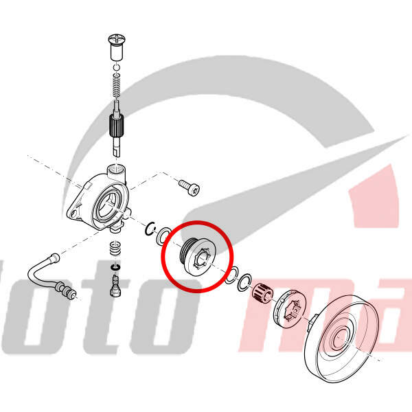 Oil pump worm dolmar 6000 6800