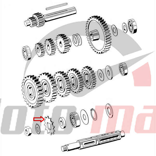 Sprocket tomos apn front 12 teeth esjot